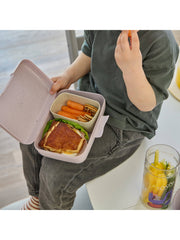 Lunchbox m. Trennschale CANDY L TRUCKS: Organic grey trucks Koziol ideas for friends GmbH      NATURKINDCHEN