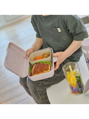 Lunchbox m. Trennschale CANDY L TRUCKS: Organic grey trucks Koziol ideas for friends GmbH      NATURKINDCHEN